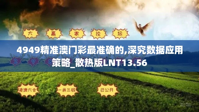 4949精准澳门彩最准确的,深究数据应用策略_散热版LNT13.56