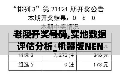 老澳开奖号码,实地数据评估分析_机器版NEN13.89