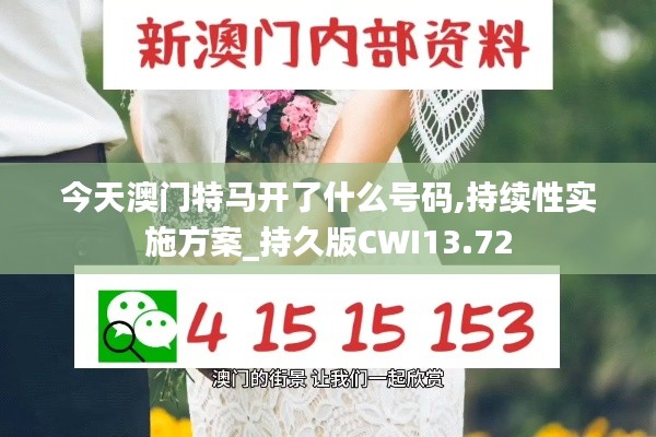 今天澳门特马开了什么号码,持续性实施方案_持久版CWI13.72