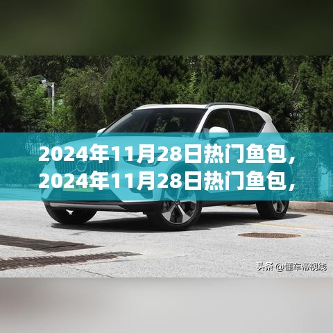 时尚美食新潮，2024年热门鱼包引领潮流