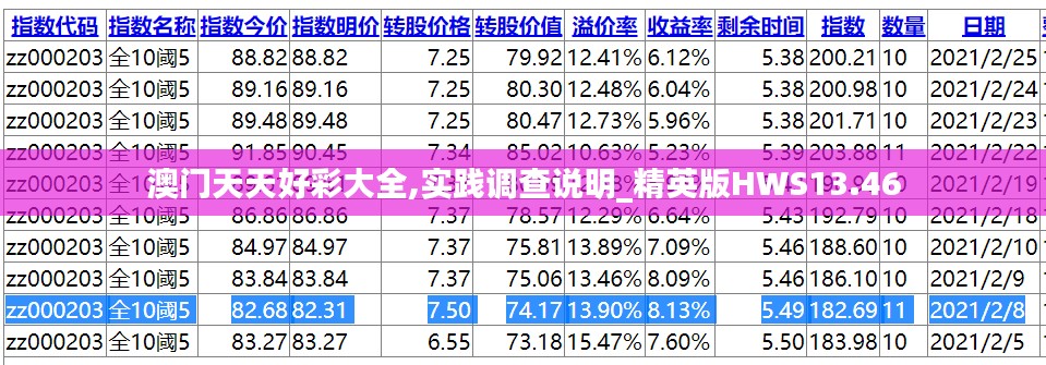 澳门天天好彩大全,实践调查说明_精英版HWS13.46