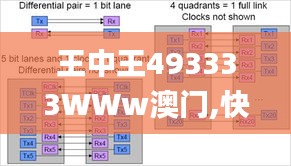 王中王493333WWw澳门,快速问题解答_未来版TPT13.75