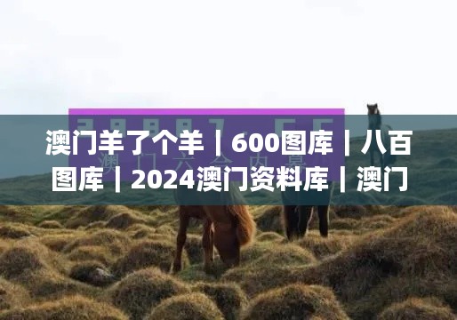 澳门羊了个羊｜600图库｜八百图库｜2024澳门资料库｜澳门今晚必中一肖一码｜永久免,数据整合决策_改进版NIJ13.28