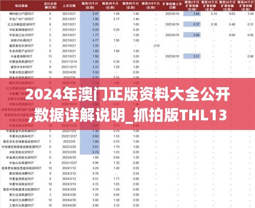 2024年澳门正版资料大全公开,数据详解说明_抓拍版THL13.30