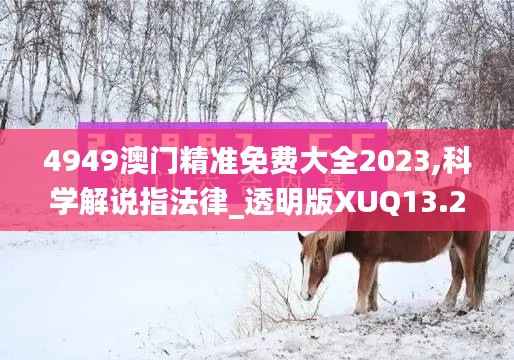 4949澳门精准免费大全2023,科学解说指法律_透明版XUQ13.28