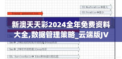 新澳天天彩2024全年免费资料大全,数据管理策略_云端版JVM13.11