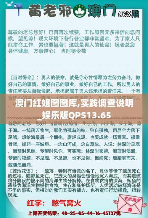 澳门红姐图图库,实践调查说明_娱乐版QPS13.65