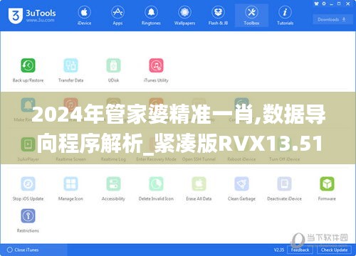 2024年管家婆精准一肖,数据导向程序解析_紧凑版RVX13.51