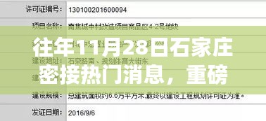 揭秘石家庄密接热门消息，高科技产品引领时代风潮，革新功能震撼来袭