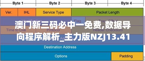 澳门新三码必中一免费,数据导向程序解析_主力版NZJ13.41