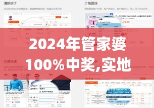 2024年管家婆100%中奖,实地观察数据设计_修改版SLH13.19