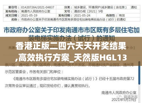 香港正版二四六天天开奖结果,高效执行方案_天然版HGL13.76