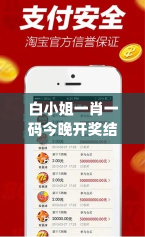 白小姐一肖一码今晚开奖结果,目前现象解析描述_抓拍版WTZ13.25