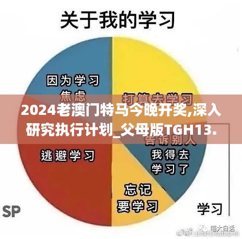 2024老澳门特马今晚开奖,深入研究执行计划_父母版TGH13.85