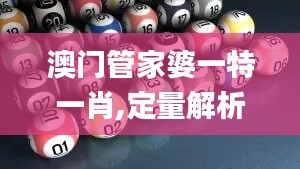 澳门管家婆一特一肖,定量解析解释法_云技术版BEG13.11