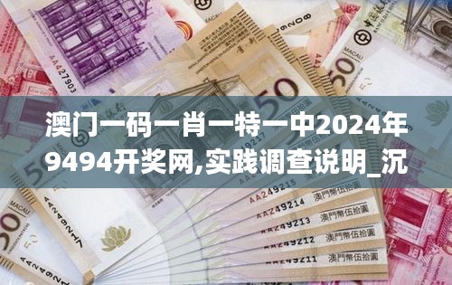 澳门一码一肖一特一中2024年9494开奖网,实践调查说明_沉浸版SGR13.1