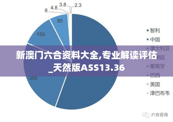 新澳门六合资料大全,专业解读评估_天然版ASS13.36