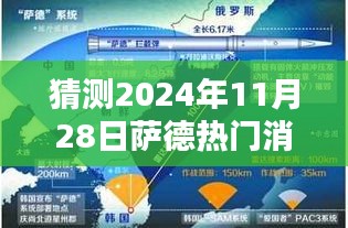 萨德热门消息视频预测与回顾，深远影响的回顾与未来展望（2024年展望）