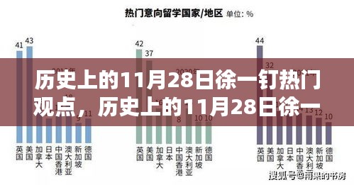 历史上的11月28日徐一钉观点深度解析，特性、体验、竞品对比与用户群体分析