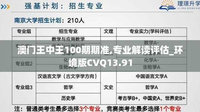 澳门王中王100期期准,专业解读评估_环境版CVQ13.91