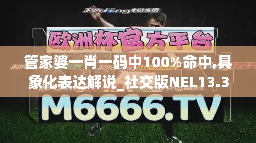 管家婆一肖一码中100%命中,具象化表达解说_社交版NEL13.35