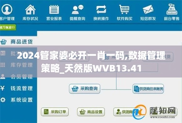 2024管家婆必开一肖一码,数据管理策略_天然版WVB13.41