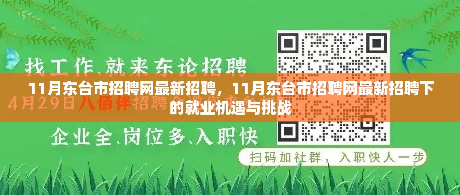 11月东台市招聘网最新招聘，就业机遇与挑战一览