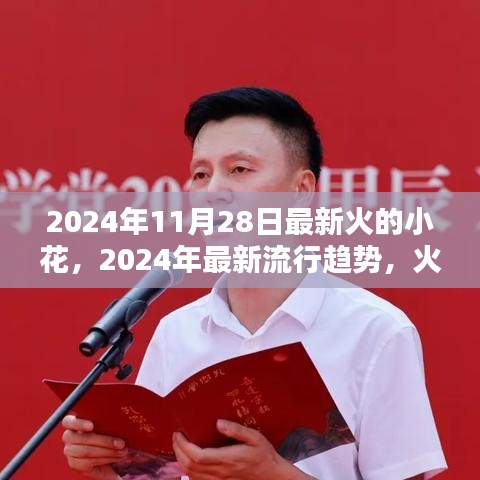 2024年流行趋势揭秘，火的小花在绽放时刻