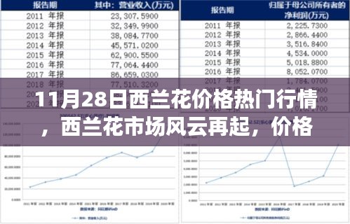 西兰花市场风云再起，价格背后的成长与自信之歌