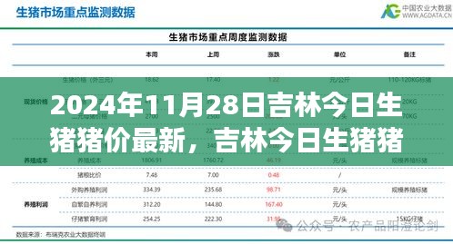 2024年11月28日吉林生猪猪价最新动态与行业观察