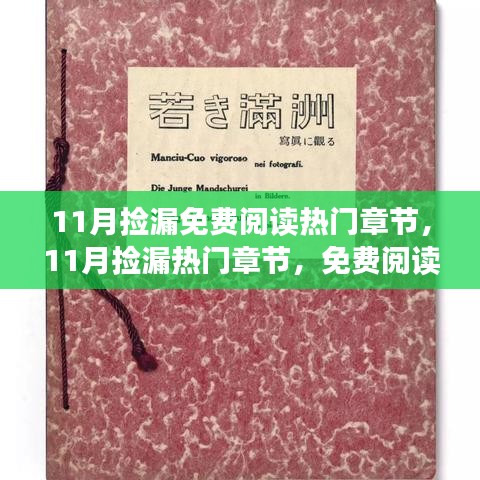 11月捡漏，免费阅读热门章节的新视角