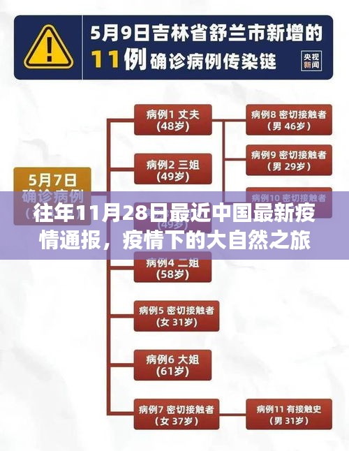 疫情下的自然之旅，寻找内心的宁静与力量——中国最新疫情通报报告