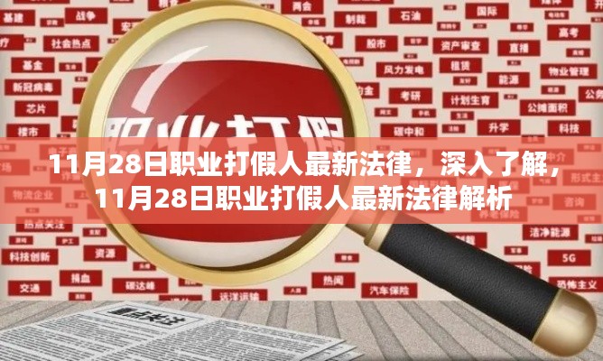 11月28日职业打假人最新法律解析，深入了解新法规