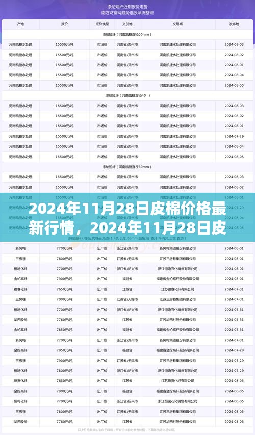 2024年11月28日皮棉价格最新行情深度解析