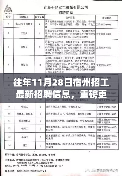 宿州最新招聘信息揭秘，优质岗位等你来抢，往年11月28日招工信息汇总