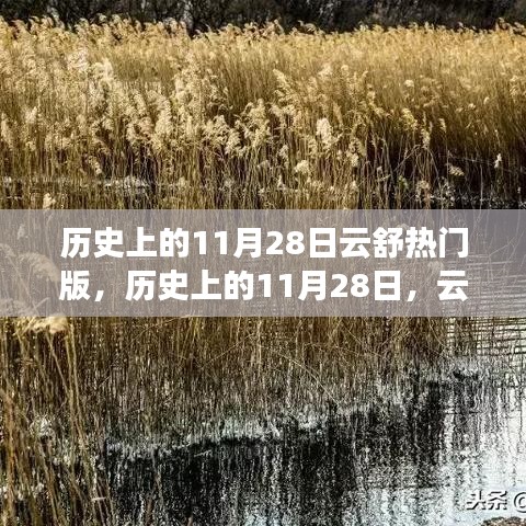 历史上的11月28日，云舒热门版——学习变化的力量铸就自信与成就之路