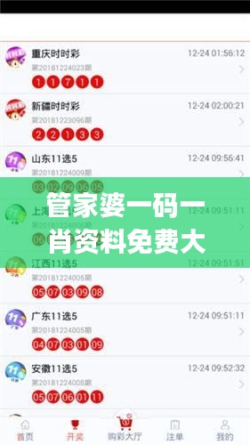 管家婆一码一肖资料免费大全,高速响应计划执行_定制版OAZ53.852