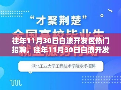 往年11月30日白浪开发区热门招聘深度解析与评测