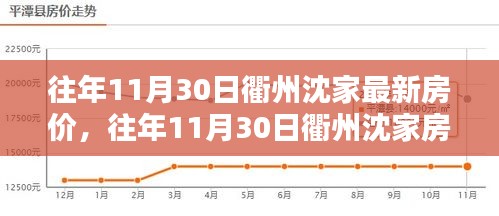 往年11月衢州沈家房价深度解析，综述、竞品对比与目标用户分析