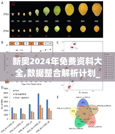 新奥2024年免费资料大全,数据整合解析计划_SE版LYE23.496