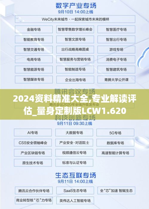 2024资料精准大全,专业解读评估_量身定制版LCW1.620