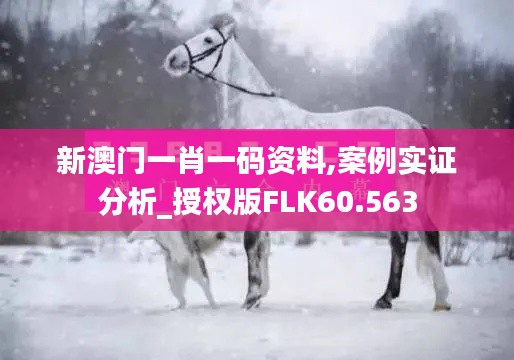 新澳门一肖一码资料,案例实证分析_授权版FLK60.563