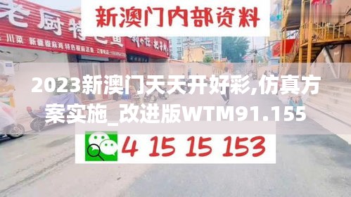 2023新澳门天天开好彩,仿真方案实施_改进版WTM91.155