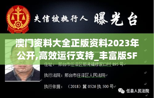 澳门资料大全正版资料2023年公开,高效运行支持_丰富版SFQ30.527