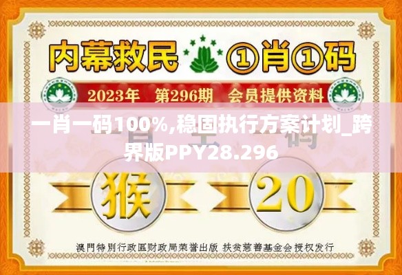 一肖一码100%,稳固执行方案计划_跨界版PPY28.296