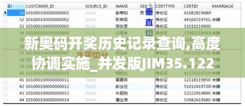 新奥码开奖历史记录查询,高度协调实施_并发版JIM35.122