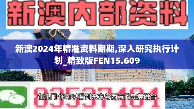 新澳2024年精准资料期期,深入研究执行计划_精致版FEN15.609