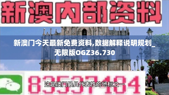 新澳门今天最新免费资料,数据解释说明规划_无限版OGZ36.730