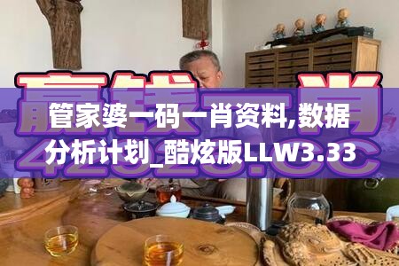 管家婆一码一肖资料,数据分析计划_酷炫版LLW3.330