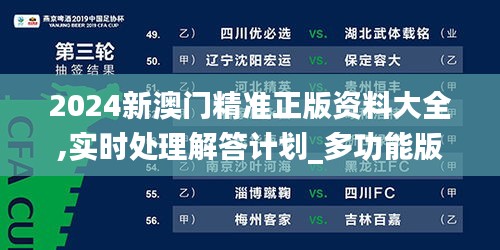 2024新澳门精准正版资料大全,实时处理解答计划_多功能版CSX19.737